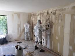 Reliable Lake Camelot, IL Mold Prevention & Removal  Solutions